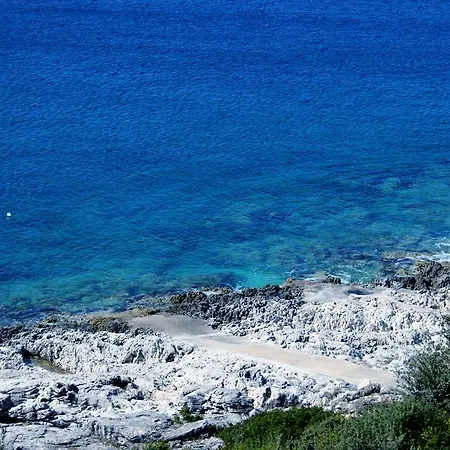 Bili Dvori